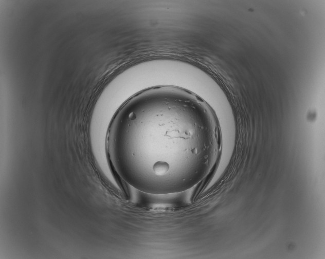 X0000096940415200802221324