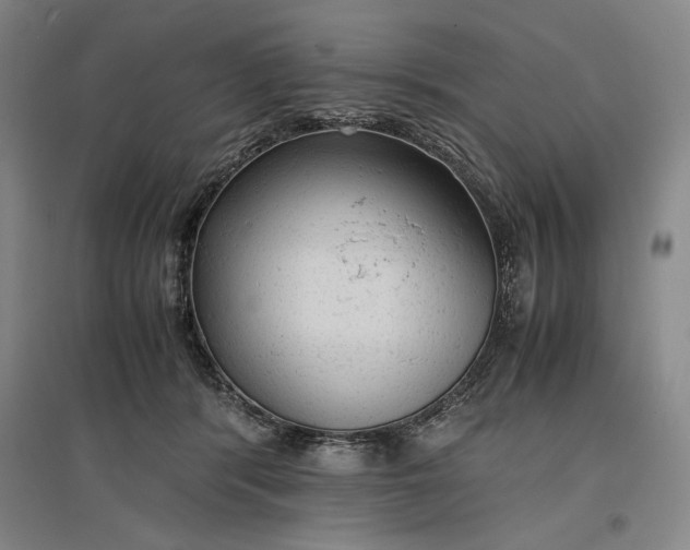 X0000096940416200802221324