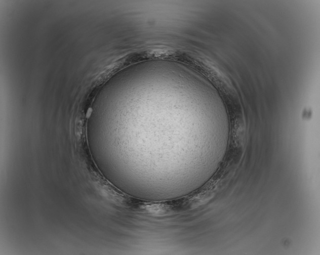 X0000096940417200802221324