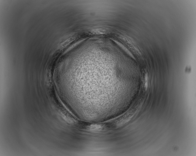 X0000096940418200802221324