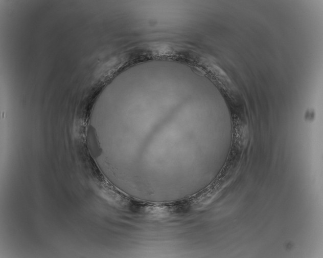 X0000096940419200802221324