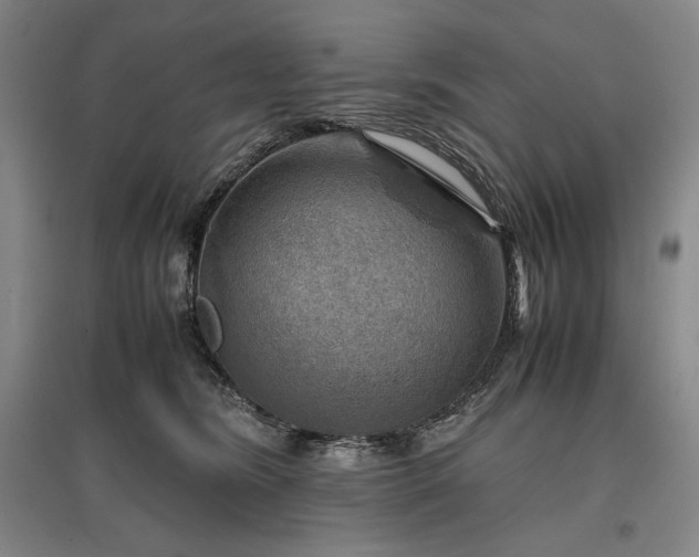 X0000096940420200802221324