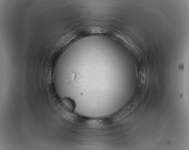 X0000096940422200802221324