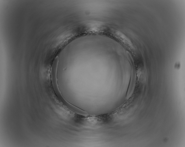 X0000096940423200802221324