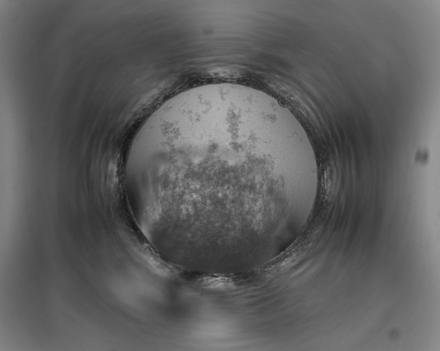 X0000096940424200802221324