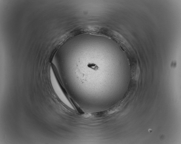 X0000096940425200802221324