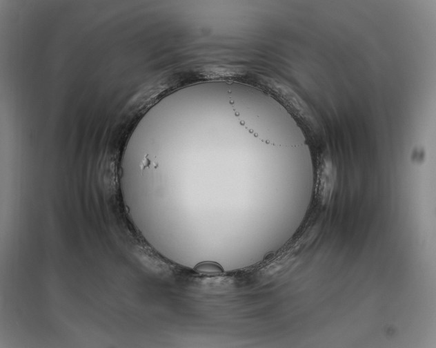 X0000096940426200802221324