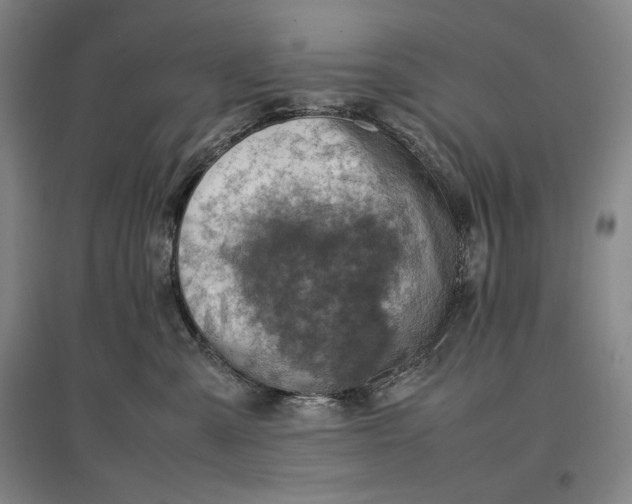 X0000096940427200802221324