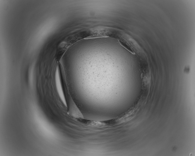 X0000096940429200802221324