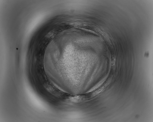 X0000096940430200802221324