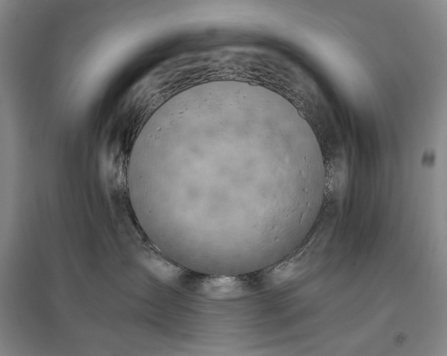 X0000096940431200802221324