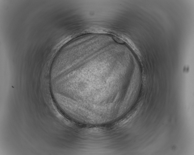 X0000096940433200802221323