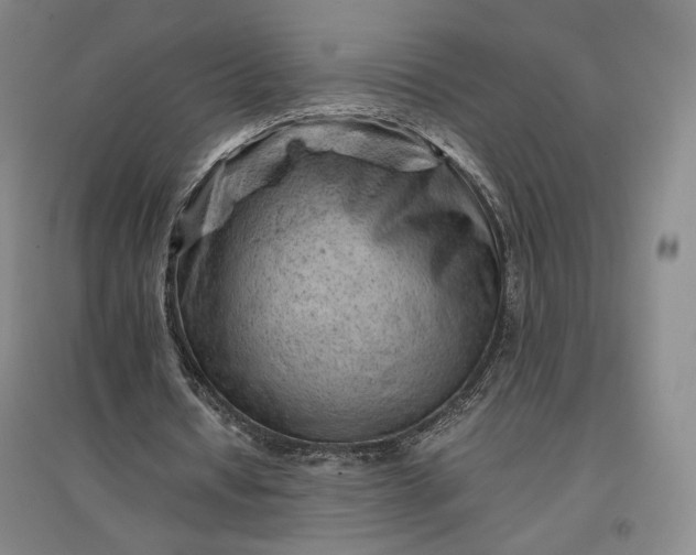 X0000096940434200802221323