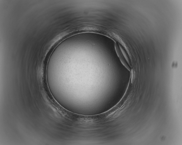 X0000096940435200802221323