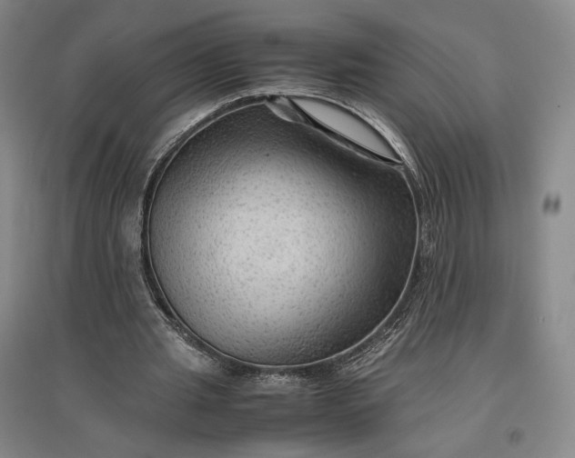 X0000096940437200802221323