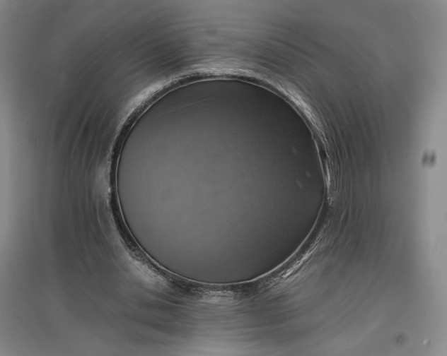 X0000096940438200802221323