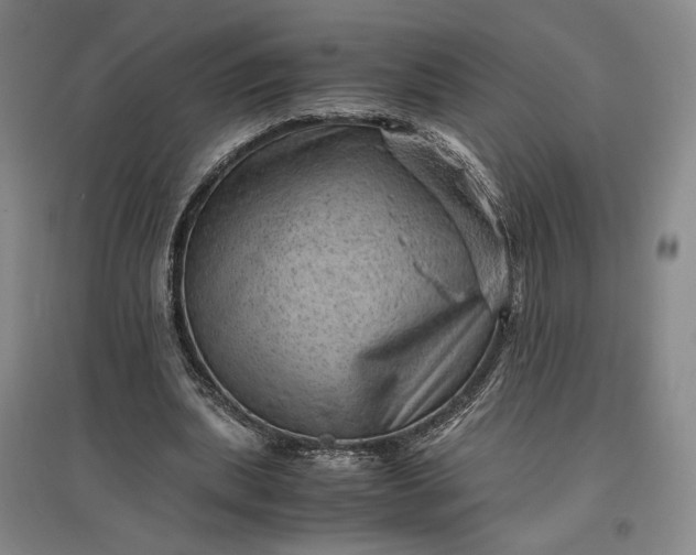 X0000096940439200802221323