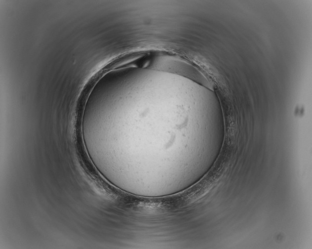 X0000096940440200802221323