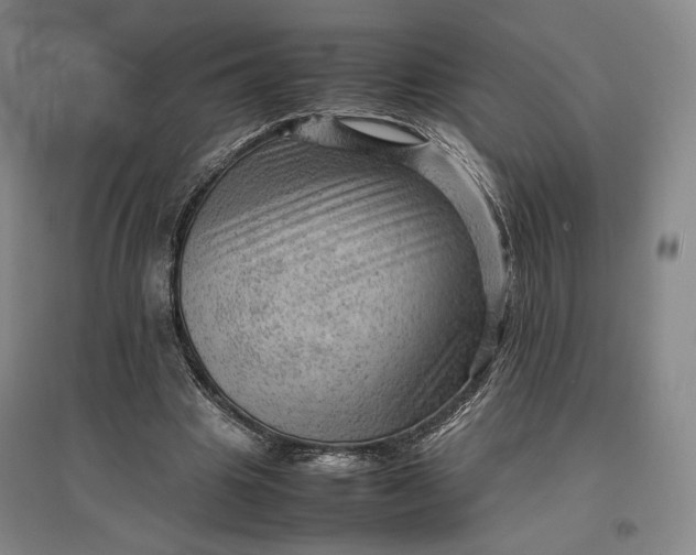 X0000096940441200802221323