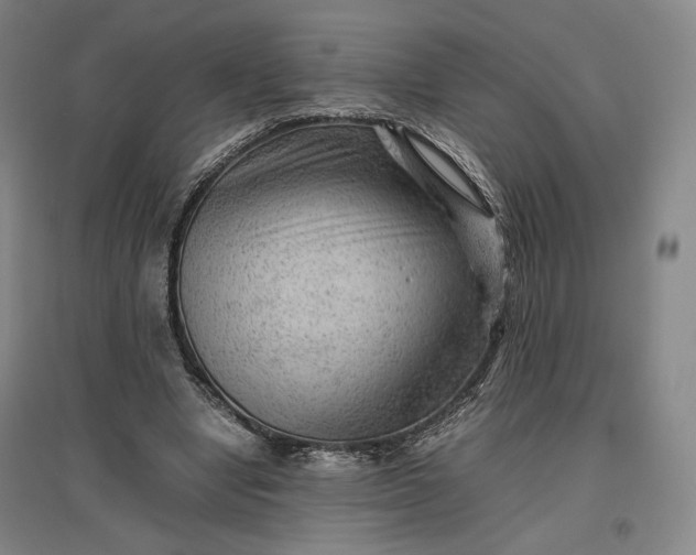 X0000096940442200802221323