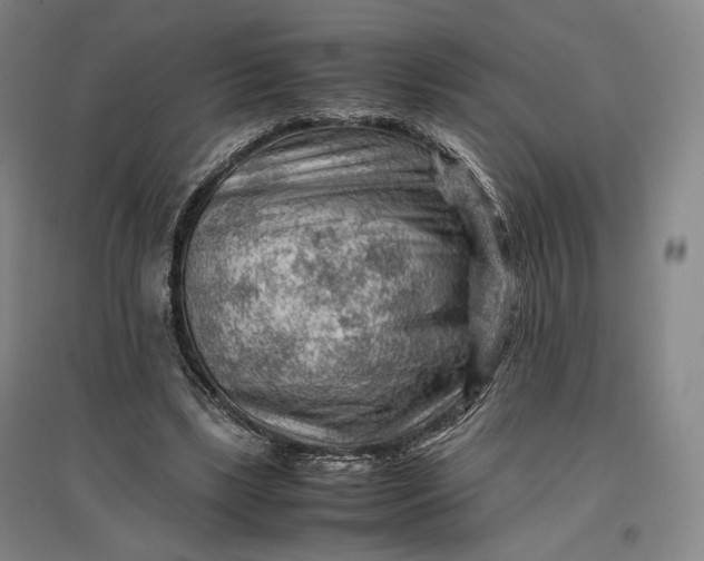 X0000096940443200802221323