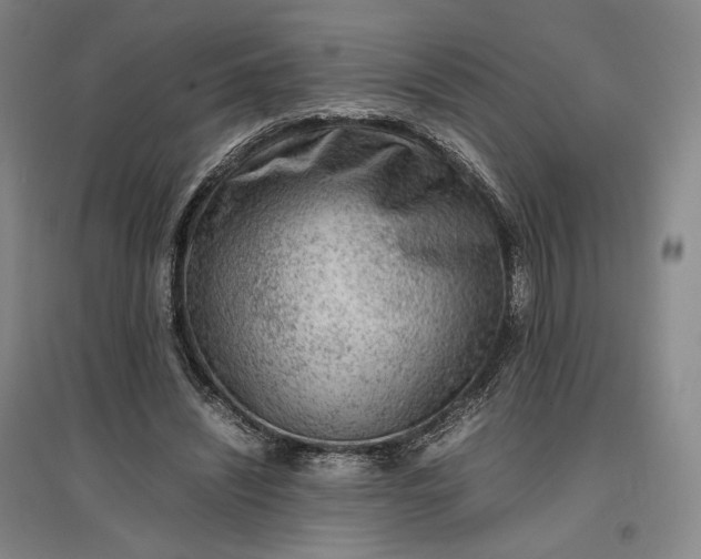 X0000096940444200802221323