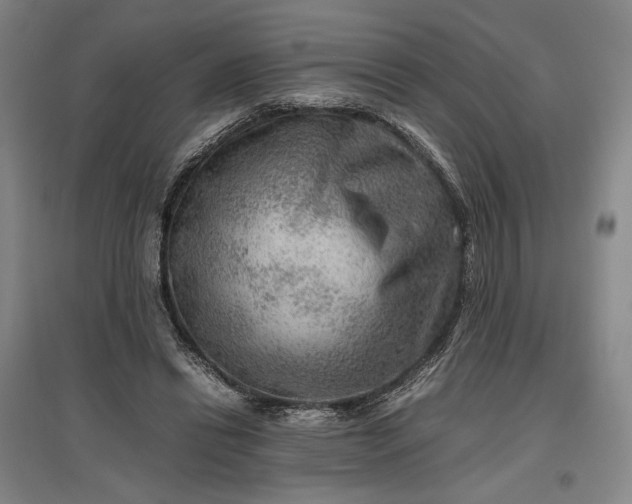 X0000096940446200802221323