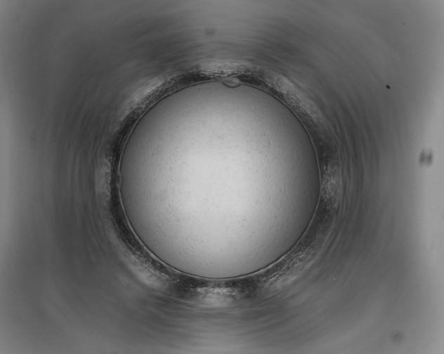 X0000096940448200802221323