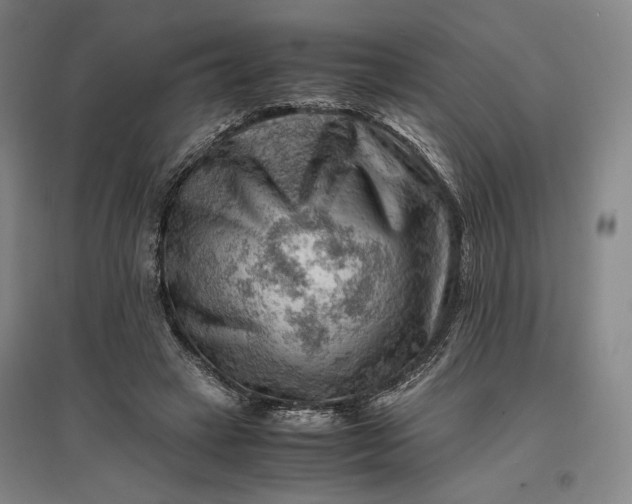 X0000096940449200802221323