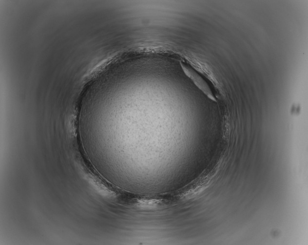 X0000096940450200802221323