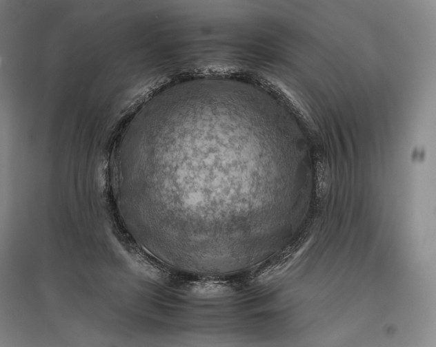 X0000096940451200802221323