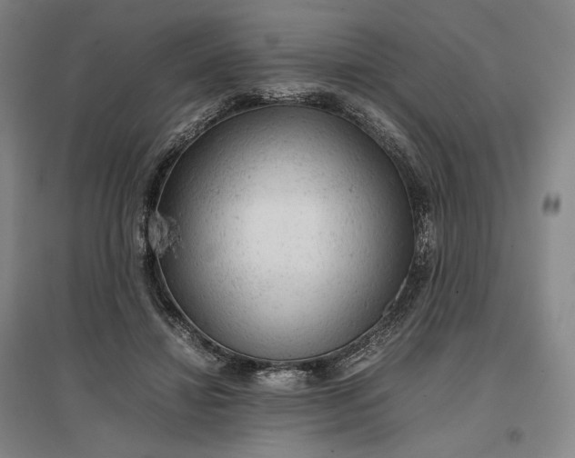 X0000096940452200802221323