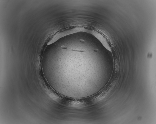 X0000096940453200802221323