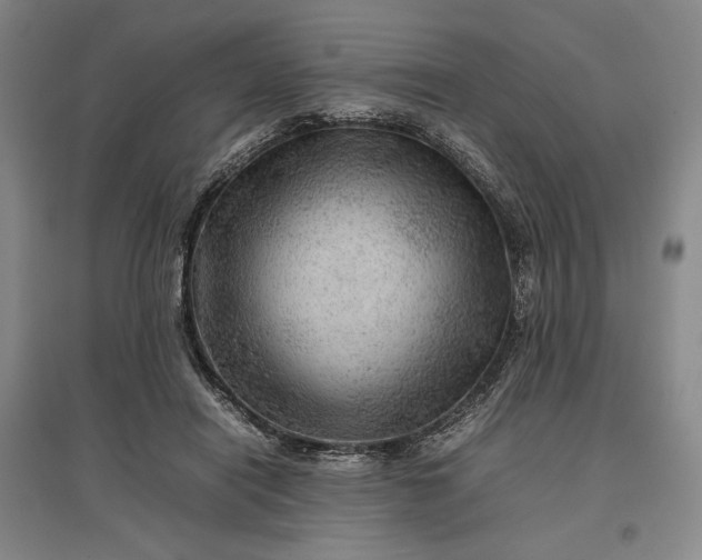 X0000096940454200802221323