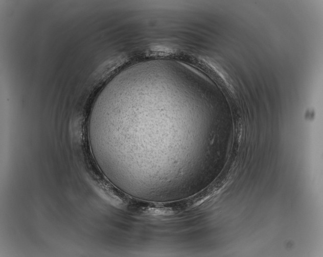 X0000096940455200802221323