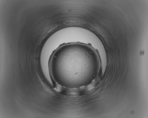 X0000096940456200802221323