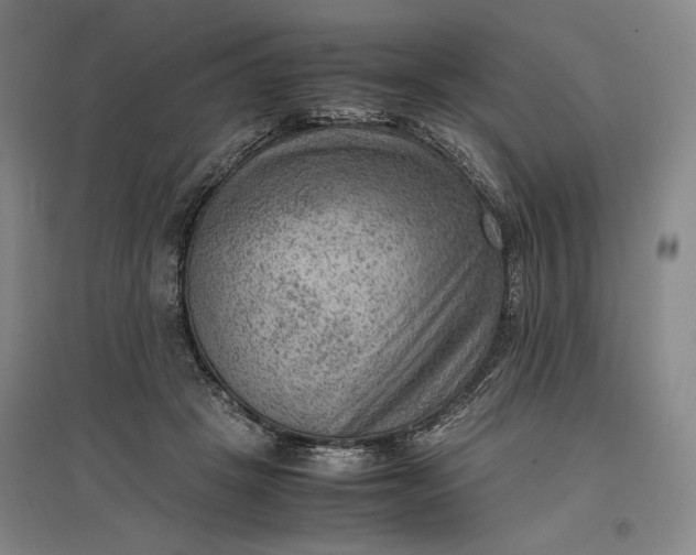 X0000096940457200802221323