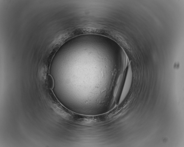 X0000096940458200802221324