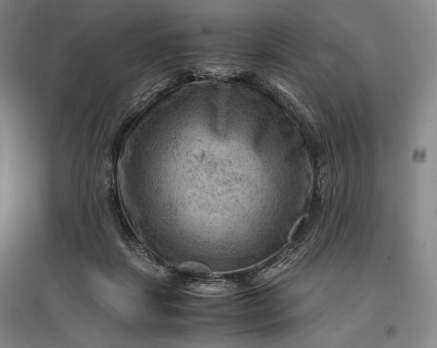 X0000096940459200802221324