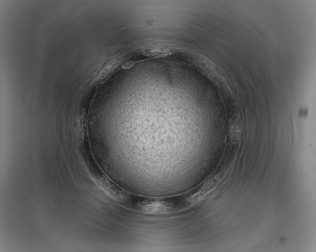 X0000096940460200802221324