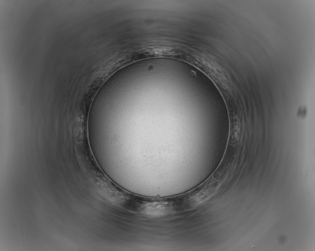 X0000096940461200802221324