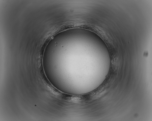 X0000096940462200802221324