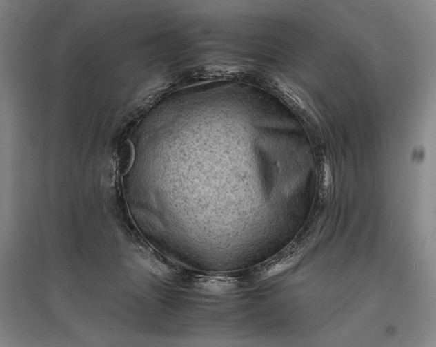 X0000096940463200802221324