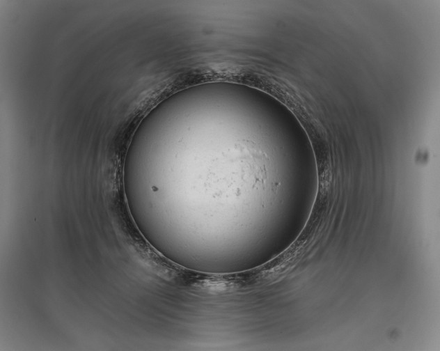 X0000096940464200802221324