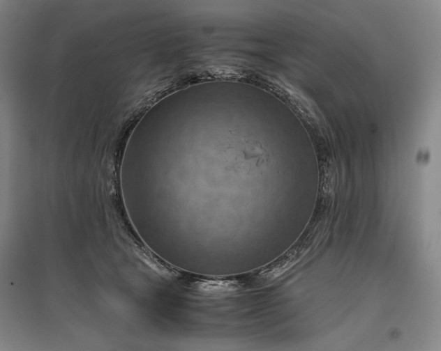 X0000096940465200802221324