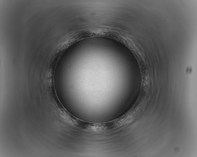 X0000096940466200802221324