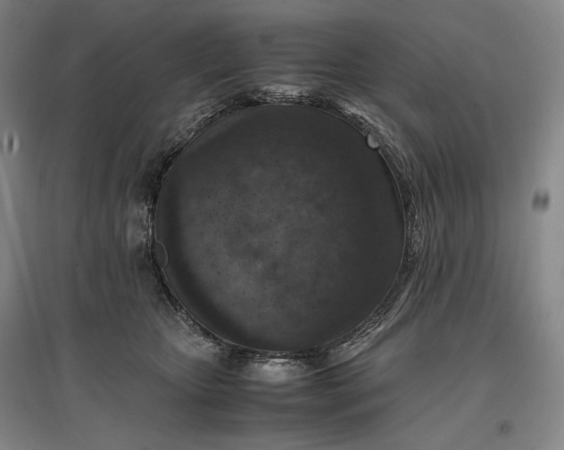 X0000096940467200802221324