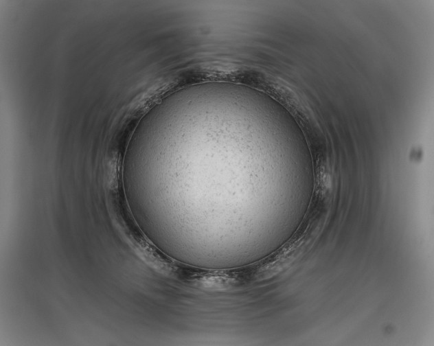 X0000096940468200802221324