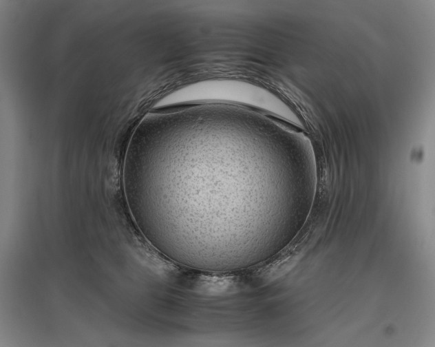 X0000096940469200802221324