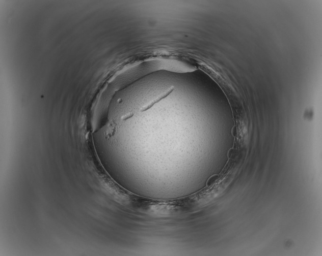 X0000096940470200802221324